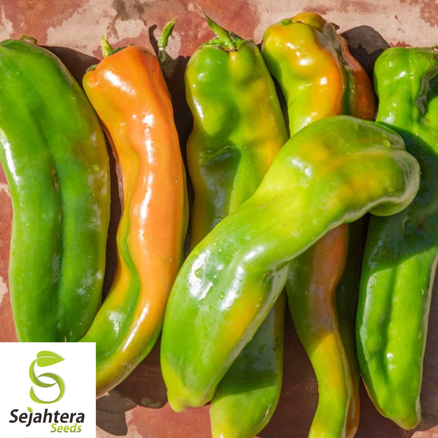 25 Hatch Big Jim Pepper Seeds - Non-GMO, Mild & Flavorful Hatch Variety