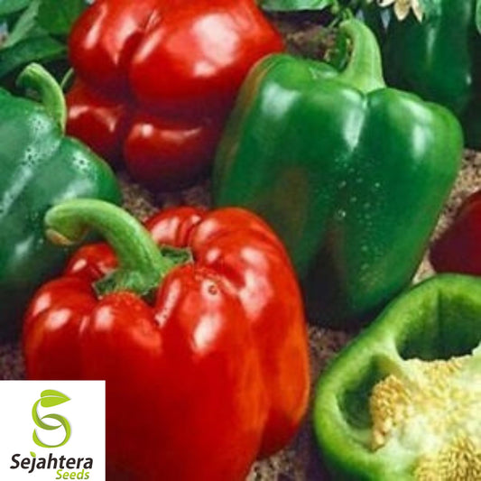 120+ California Wonder Bell Pepper Seeds - Heirloom, Non-GMO, Sweet & Crisp Peppers