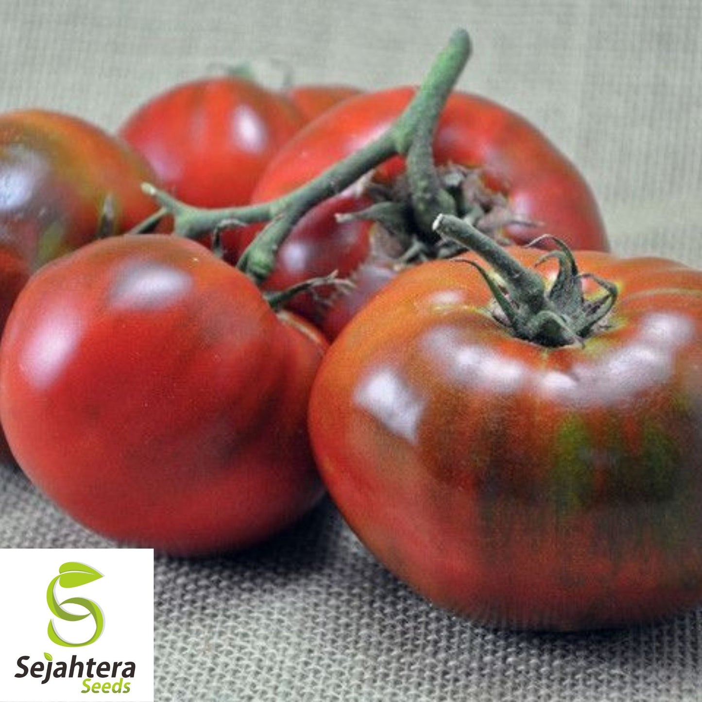 Paul Robeson Tomato Seeds - 10+ Heirloom, Organic, Non-GMO & Rare