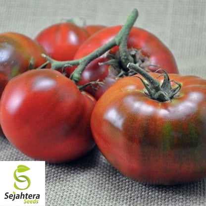 Paul Robeson Tomato Seeds - 10+ Heirloom, Organic, Non-GMO & Rare