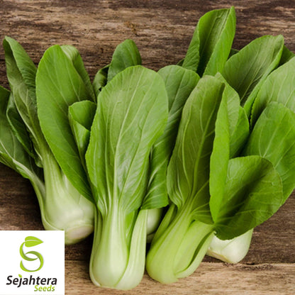 Pak Choi Dwarf White Stem Seeds - 1000+ Heirloom - Organic & Non-GMO