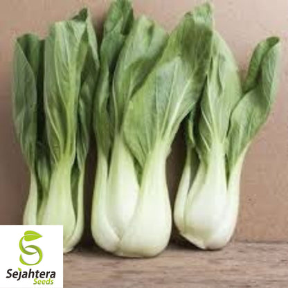 Pak Choi Dwarf White Stem Seeds - 1000+ Heirloom - Organic & Non-GMO