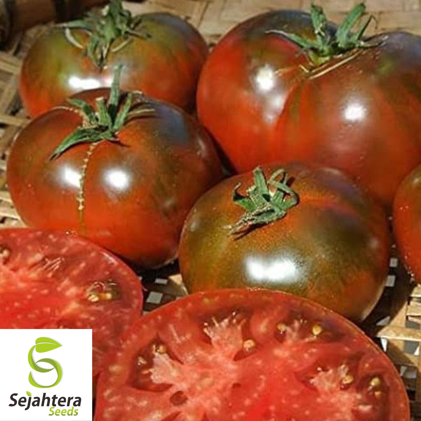Paul Robeson Tomato Seeds - 10+ Heirloom, Organic, Non-GMO & Rare
