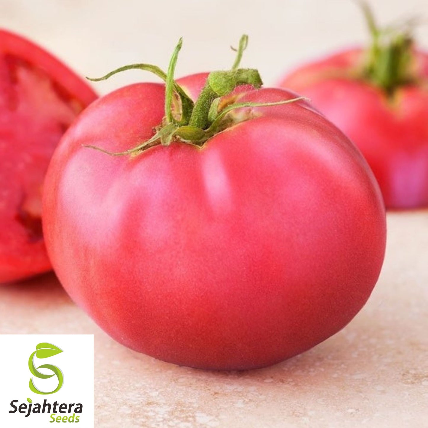 Ponderosa Pink Tomato Seeds 50 Ct | Heirloom NON-GMO Vegetable Garden USA