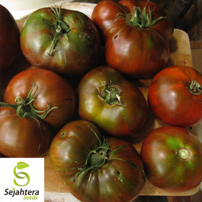Paul Robeson Tomato Seeds - 10+ Heirloom, Organic, Non-GMO & Rare