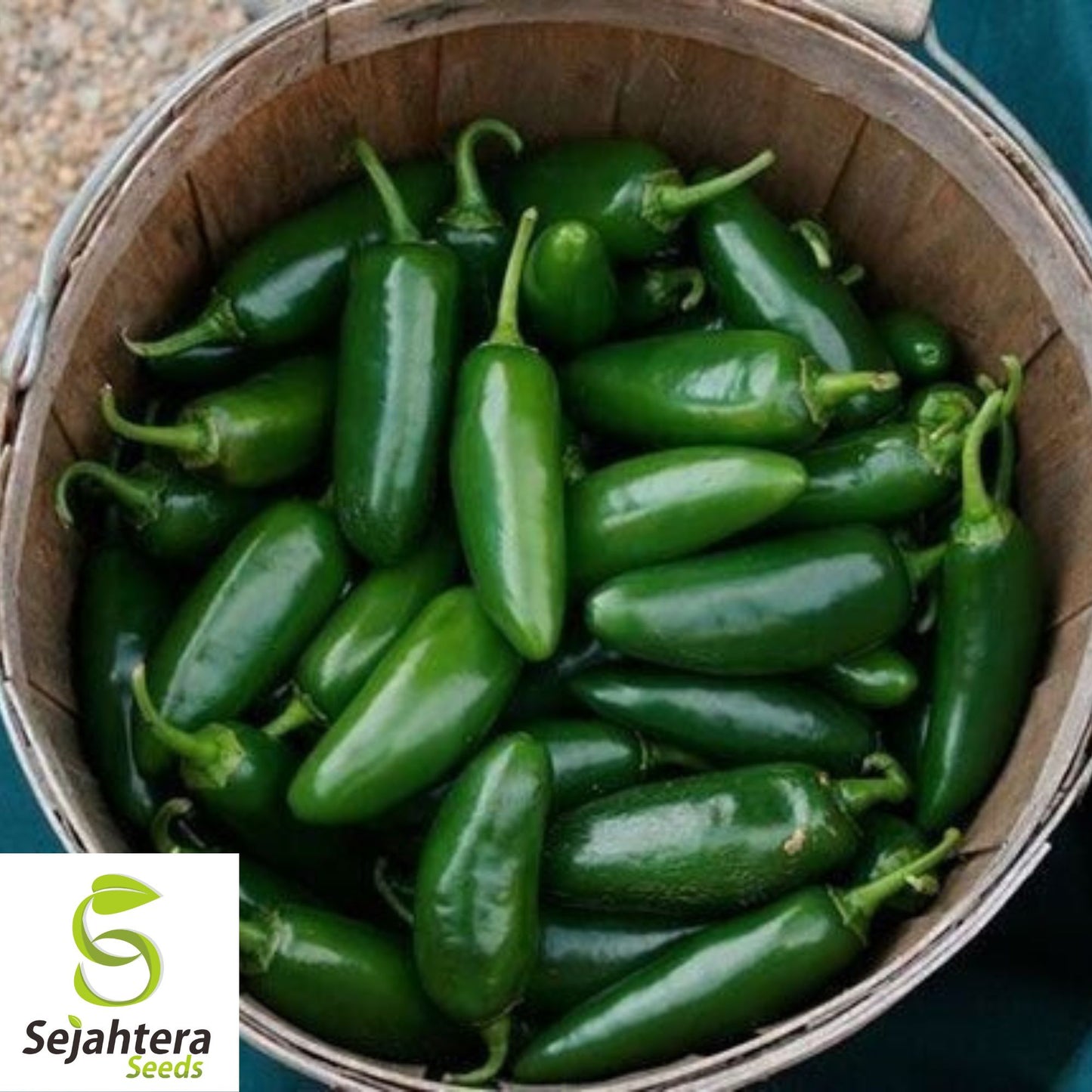 Early Jalapeño Pepper Seeds - 100+ Heirloom, Non-GMO, Spicy & Fresh
