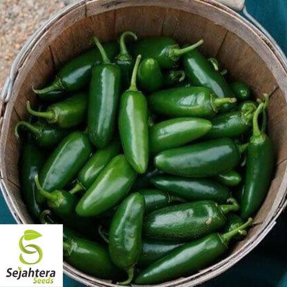 Early Jalapeño Pepper Seeds - 100+ Heirloom, Non-GMO, Spicy & Fresh