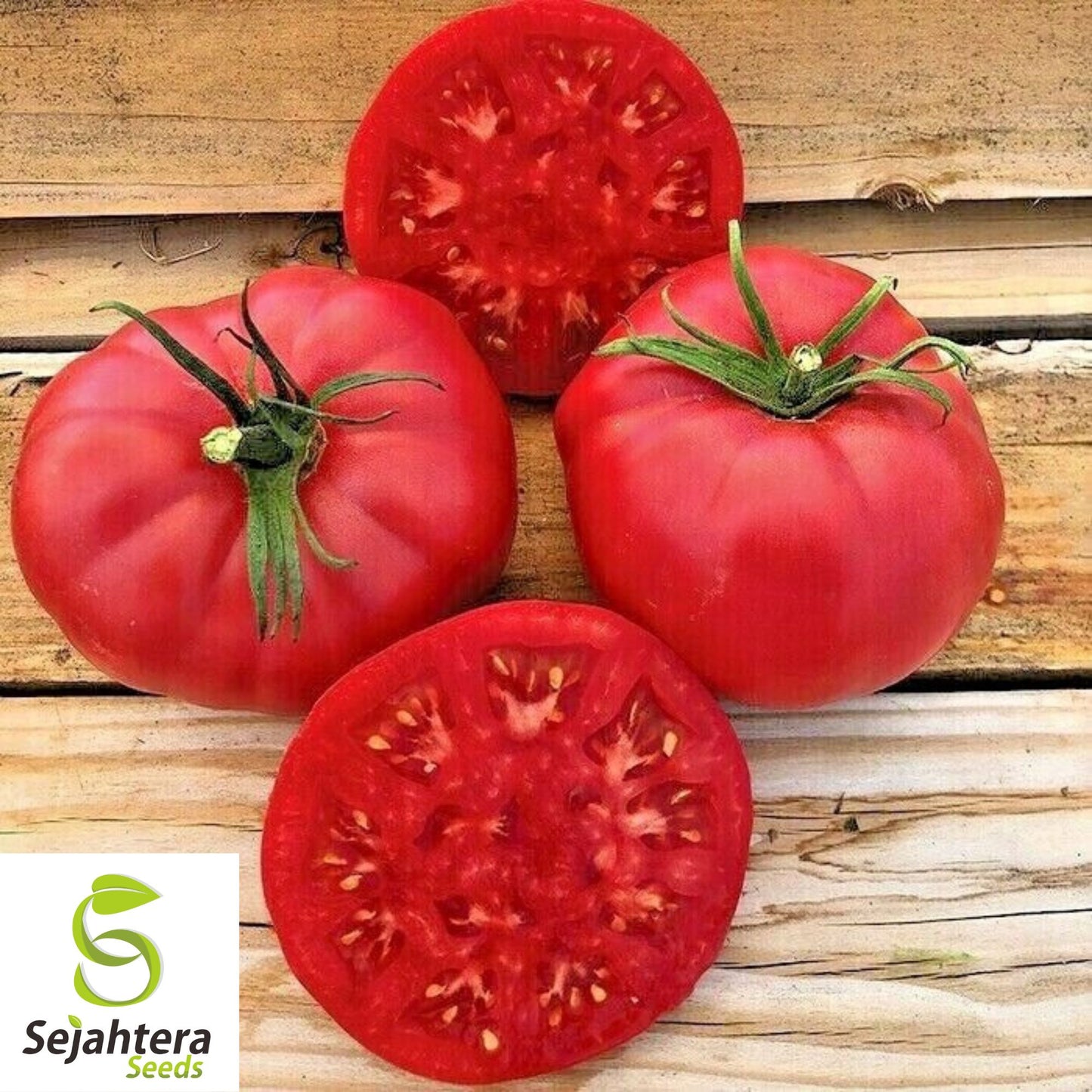 Ponderosa Pink Tomato Seeds 50 Ct | Heirloom NON-GMO Vegetable Garden USA