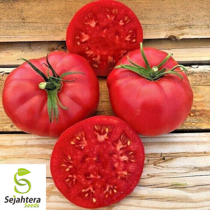 Ponderosa Pink Tomato Seeds 50 Ct | Heirloom NON-GMO Vegetable Garden USA