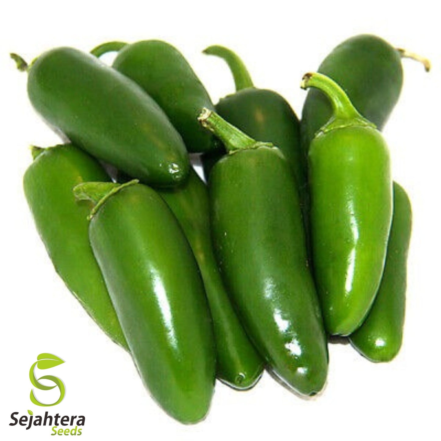 Early Jalapeño Pepper Seeds - 100+ Heirloom, Non-GMO, Spicy & Fresh