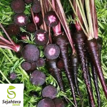 150+ Black Nebula Carrot Seeds - Non-GMO, Heirloom & Vibrant Garden Variety