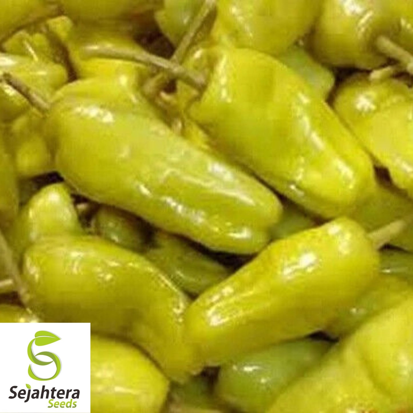 25 Sweet Banana Pepper Seeds - Non-GMO, Mild & Flavorful