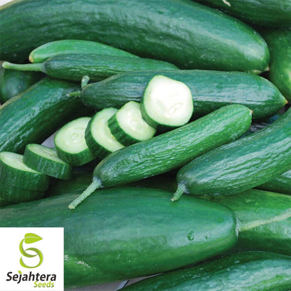 Long Green Improved Cucumber Seeds 50+ | NON-GMO Vegetable Garden USA