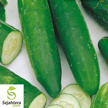 Long Green Improved Cucumber Seeds 50+ | NON-GMO Vegetable Garden USA