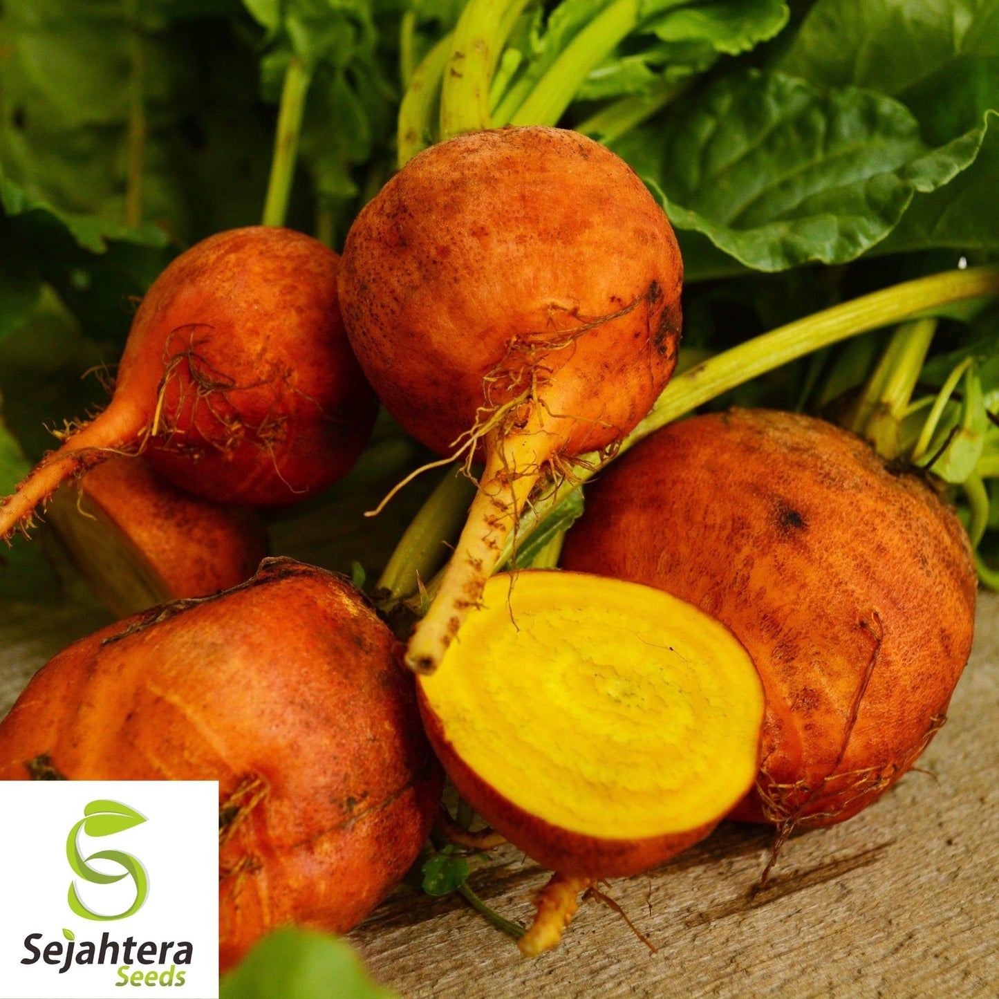Beet Seeds Golden Detroit 50 Ct | Heirloom Vegetable Garden NON-GMO USA