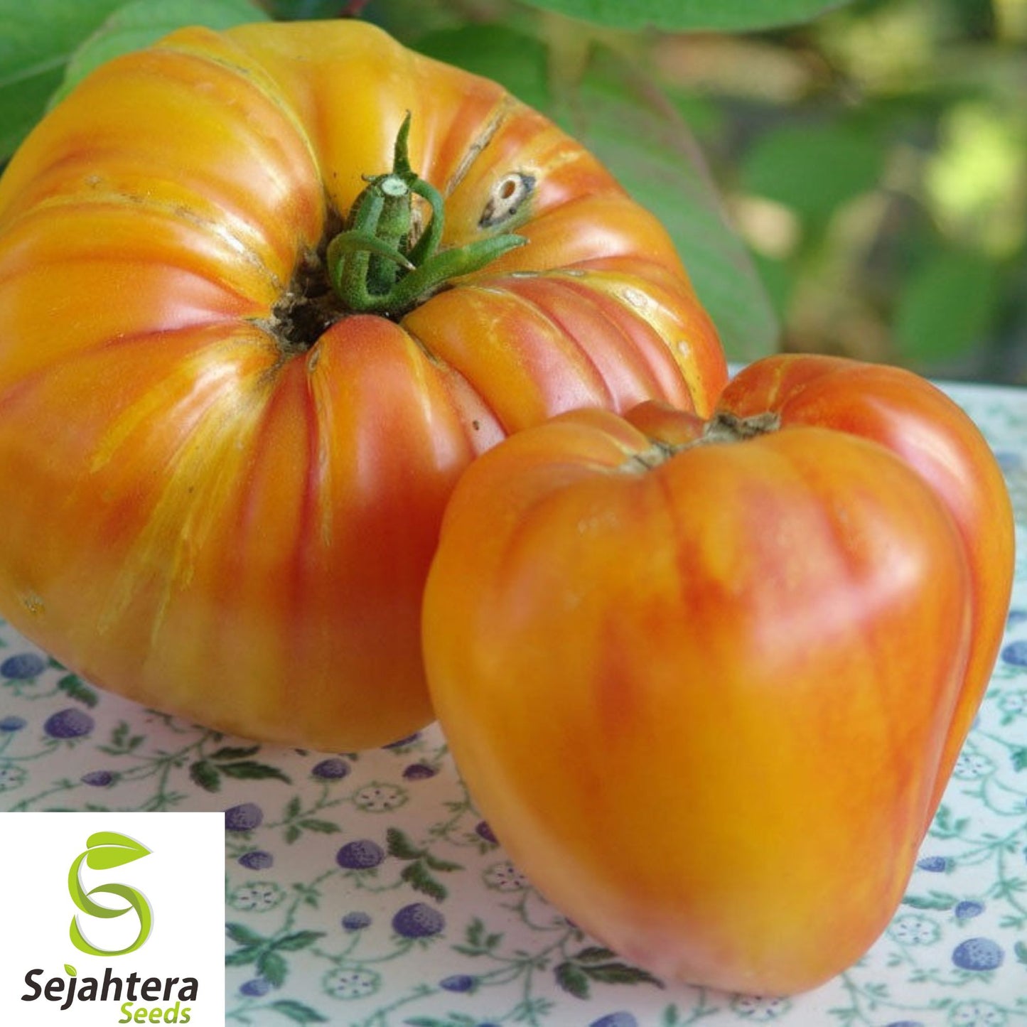 120+ Orange Oxheart Tomato Seeds - Heirloom, Organic, Non-GMO, Rare & Sweet