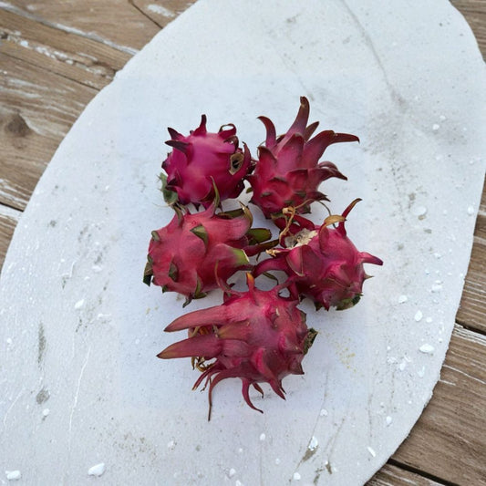 Sugar Dragon Fruit Cuttings – Hylocereus sp. | 2 Unrooted Stem Cuttings | 10–12 Inches Long | Self-Fertile Pitaya | Sweet Red Fruit Cactus
