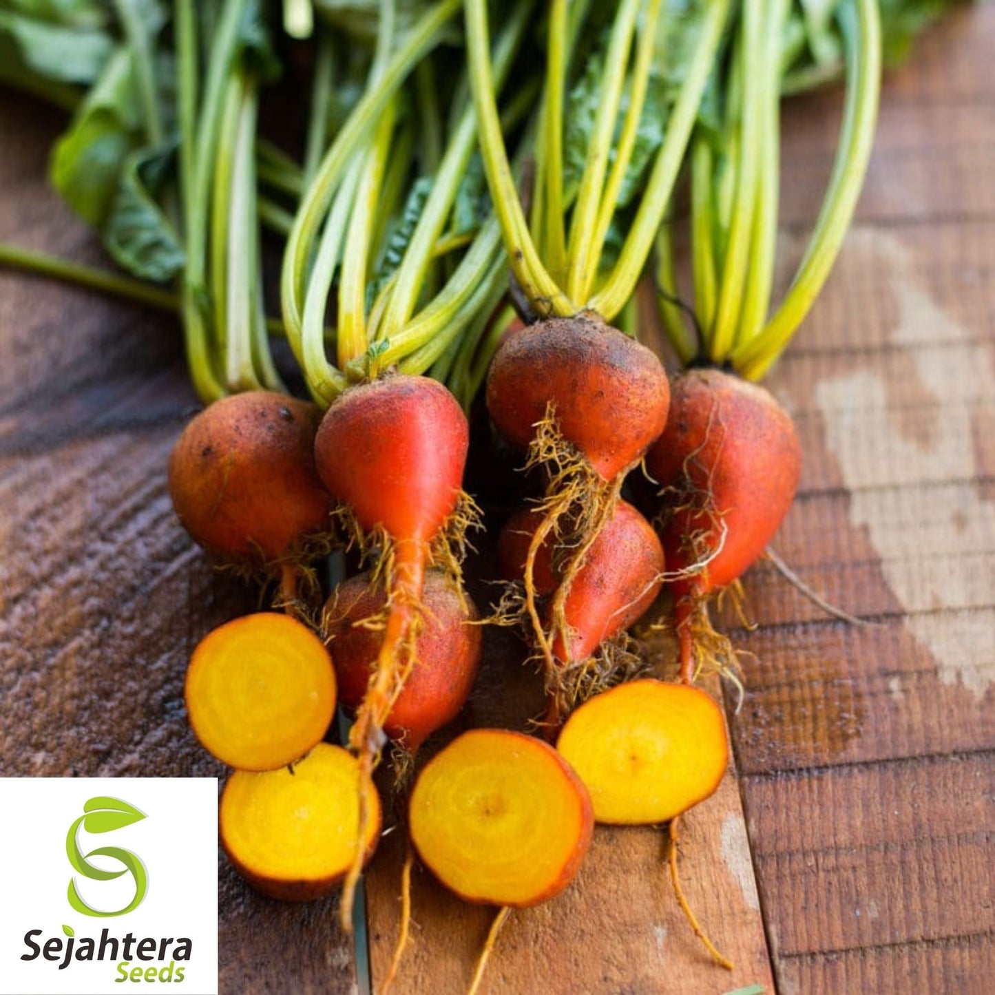 Beet Seeds Golden Detroit 50 Ct | Heirloom Vegetable Garden NON-GMO USA