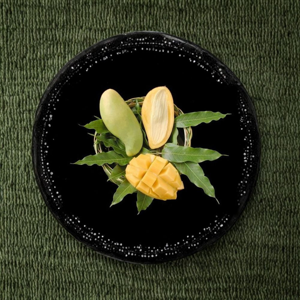 Nam Doc Mai Mango – Thai Green Sweet Mango – Mangifera indica Grafted Tree | 2–3 Feet Tall | Includes 3 Gallon Nursery Pot  Premium Thai Cultivar | Fiberless Sweet Fruit | Compact Backyard Tree