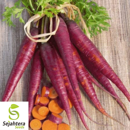 Cosmic Purple Carrot Seeds 500+ | NON-GMO Heirloom Vegetable Garden USA