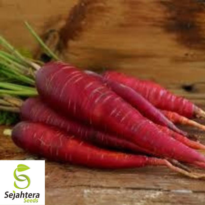 Purple Dragon Carrot Seeds - 100+ Heirloom, Organic, Non-GMO & Rare