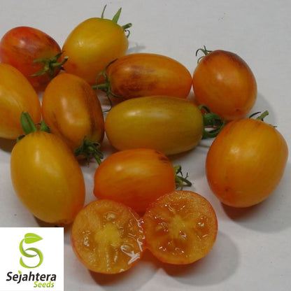 15 Golden Hour Micro Dwarf Tomato Seeds - Non-GMO, Compact & Sweet Variety