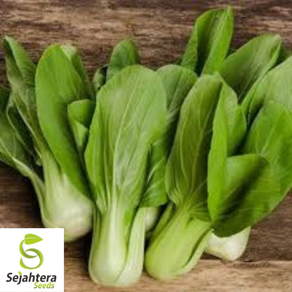 Pak Choi Extra Dwarf White Stem Seeds - 1000+ Heirloom - Rare & Non-GMO