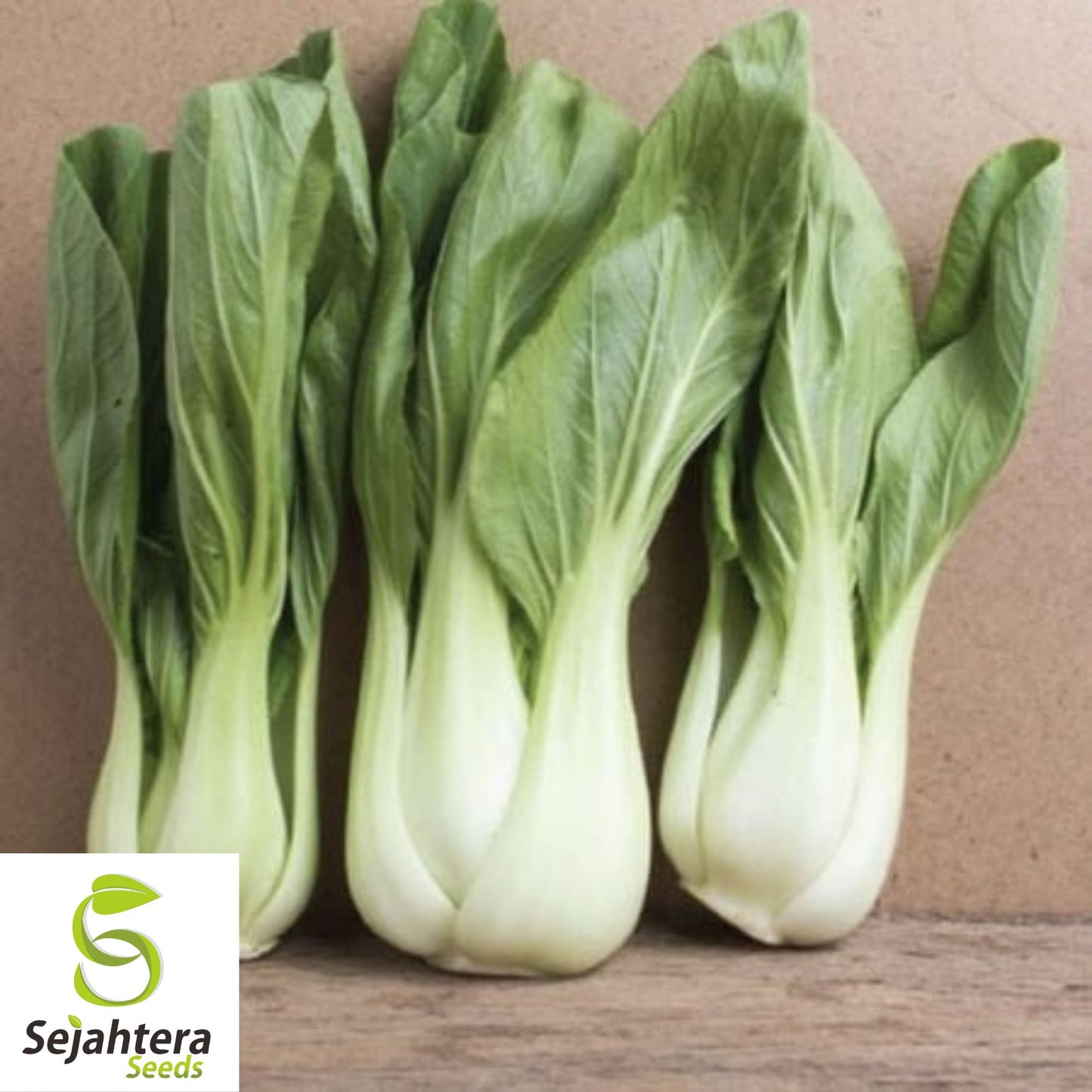 Pak Choi Extra Dwarf White Stem Seeds - 1000+ Heirloom - Rare & Non-GMO