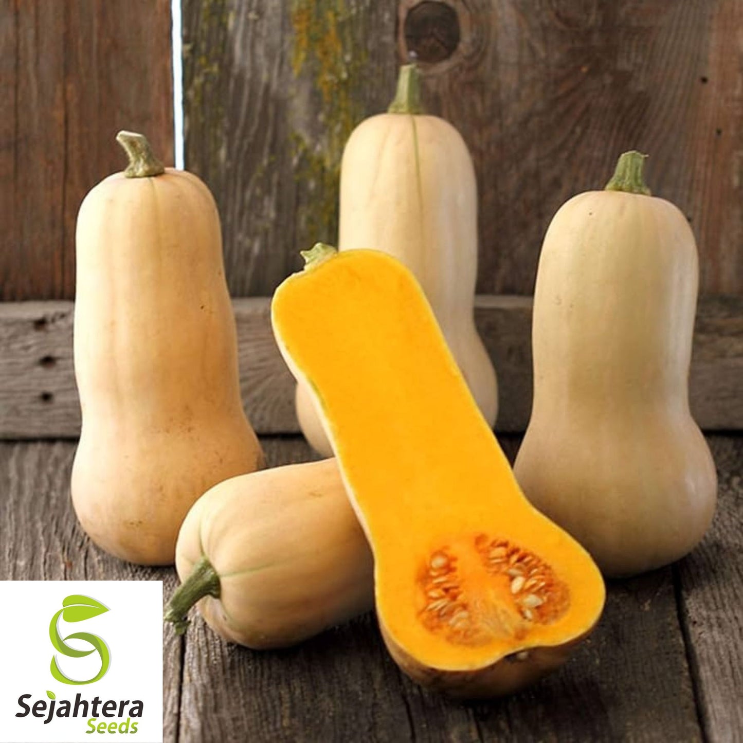 25 Butternut Waltham Squash Seeds - Winter Vegetable, Non-GMO, Sweet & Nutty