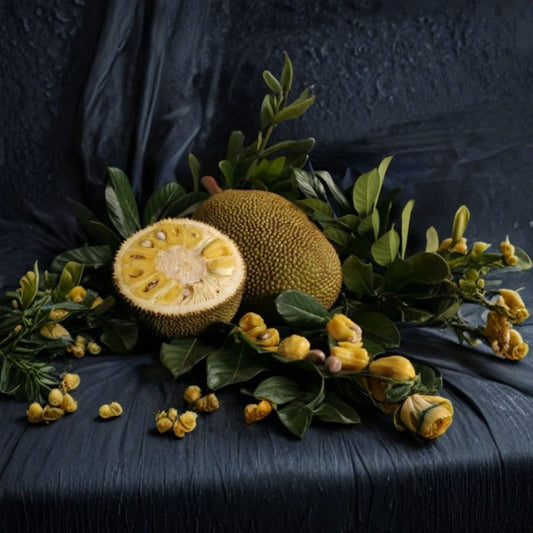 Jackfruit Tree – Artocarpus heterophyllus Live Grafted Tree | 1–2 Feet Tall | Ships in 3 Gallon Pot  Largest Tree-Borne Fruit | Sweet Tropical Flavor | Edible at All Stages