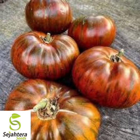 10+ Chocolate Stripe Tomato Seeds - Heirloom, Non-GMO, Rare & Sweet Flavor