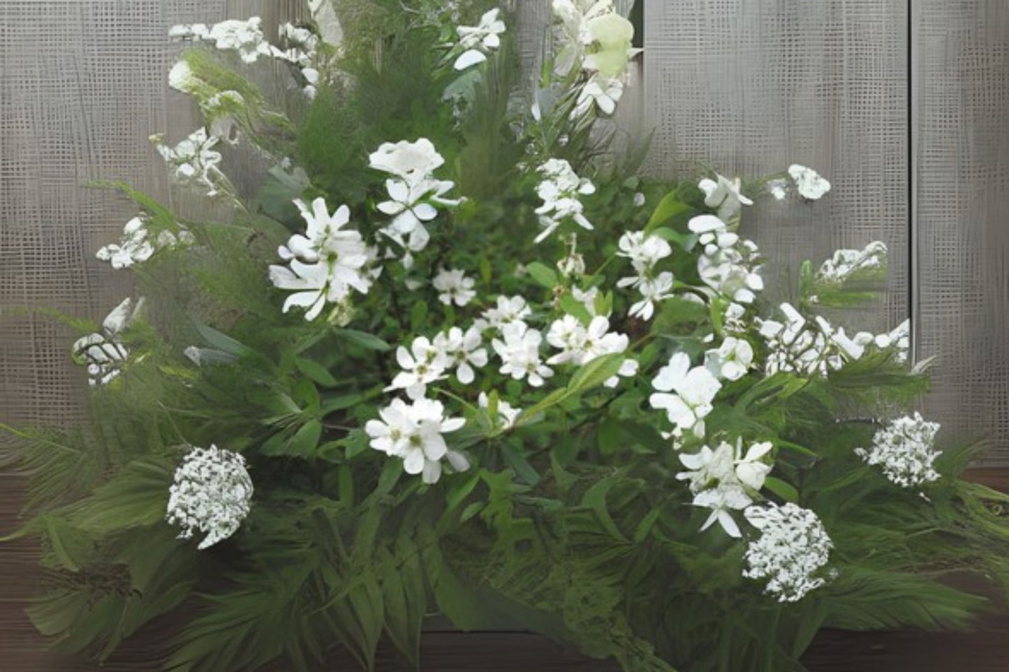 Common Pearlbrush Pearl Pearlbush (Exochorda racemosa)
