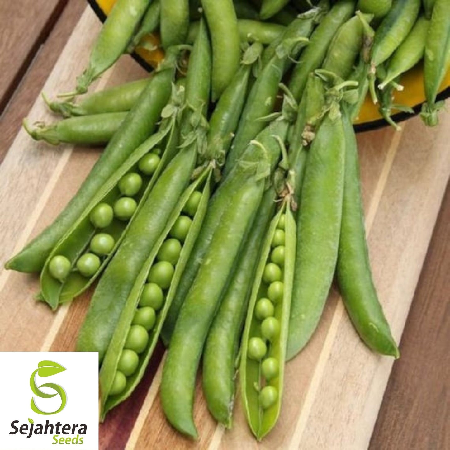 Green Arrow Pea Seeds 25 Ct | Pod Peas Heirloom NON-GMO Vegetable USA