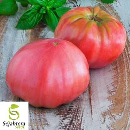 50 Pink Brandywine Tomato Seeds - Non-GMO Heirloom Beefsteak Variety