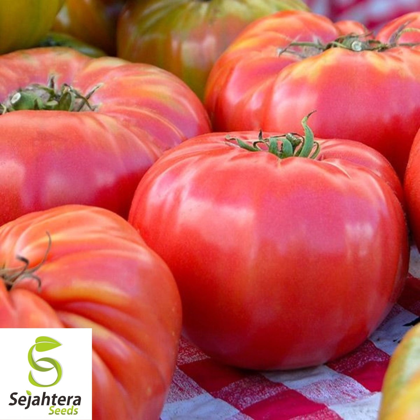 50 Pink Brandywine Tomato Seeds - Non-GMO Heirloom Beefsteak Variety