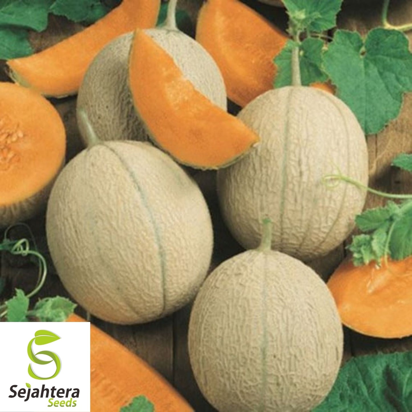 Hearts of Gold Cantaloupe Seeds 50+ | Heirloom Melon Fruit NON-GMO USA