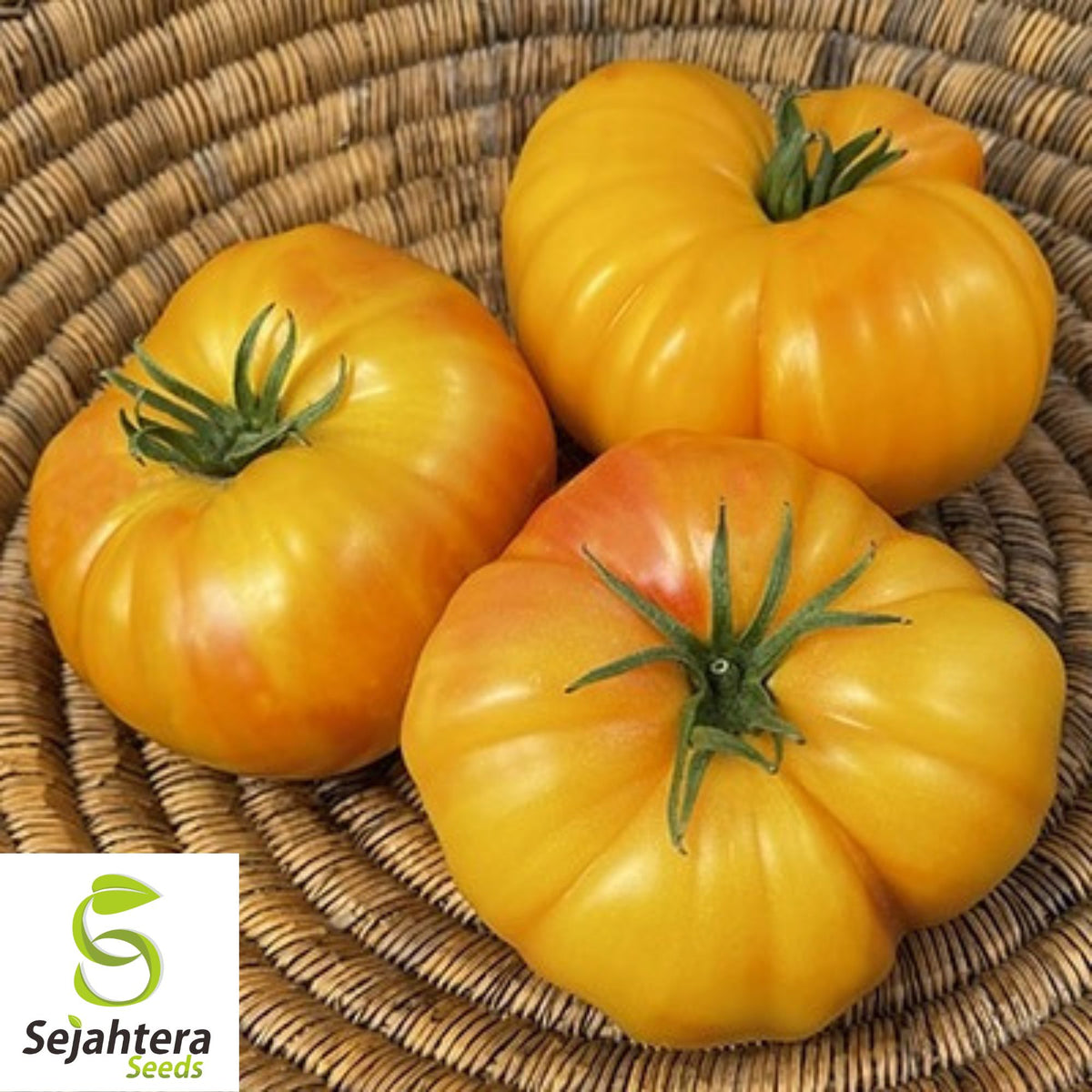 Pineapple Tomato Seeds - 120+ Heirloom, Organic, Non-GMO & Rare