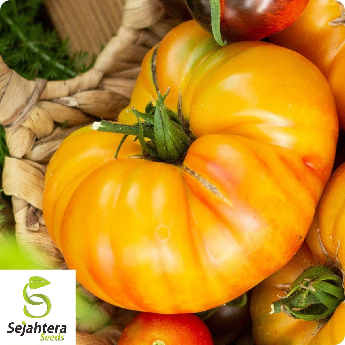 Pineapple Tomato Seeds - 120+ Heirloom, Organic, Non-GMO & Rare