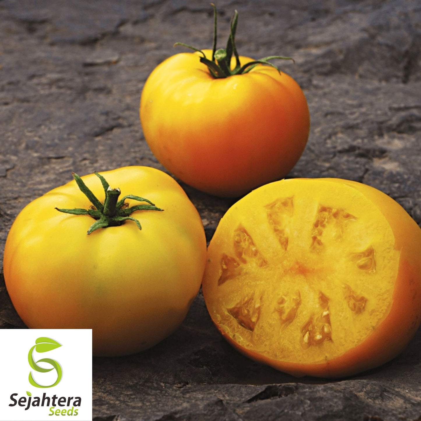 30 Dr. Wyche's Yellow Beefsteak Tomato Seeds - Non-GMO, Sweet & Juicy Heirloom