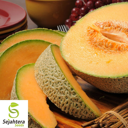 Hearts of Gold Cantaloupe Seeds 50+ | Heirloom Melon Fruit NON-GMO USA
