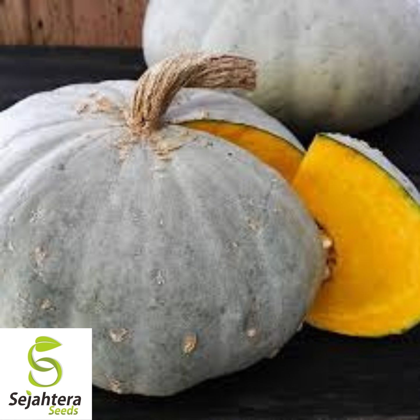 Sweet Meat Squash Seeds 15 Ct | Winter Vegetable Garden NON-GMO USA