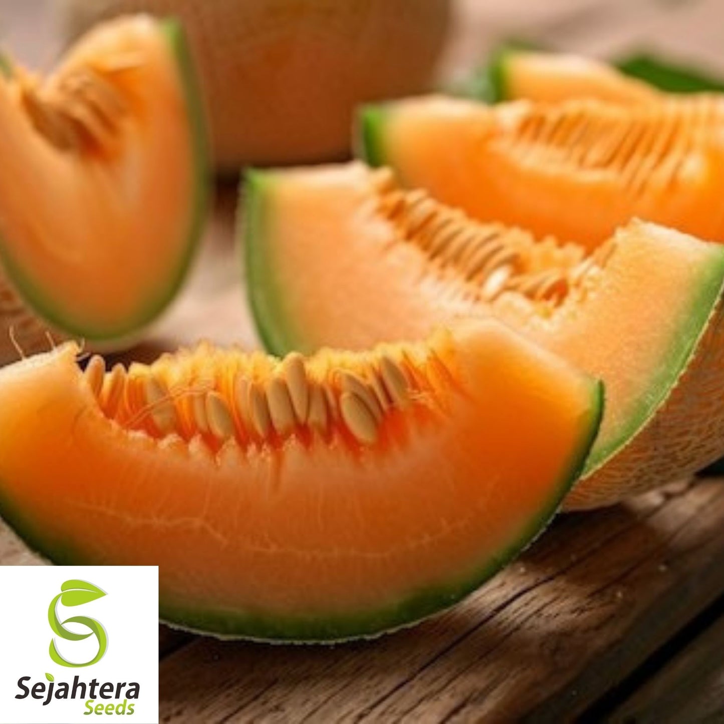 Hearts of Gold Cantaloupe Seeds 50+ | Heirloom Melon Fruit NON-GMO USA