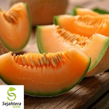 Hearts of Gold Cantaloupe Seeds 50+ | Heirloom Melon Fruit NON-GMO USA