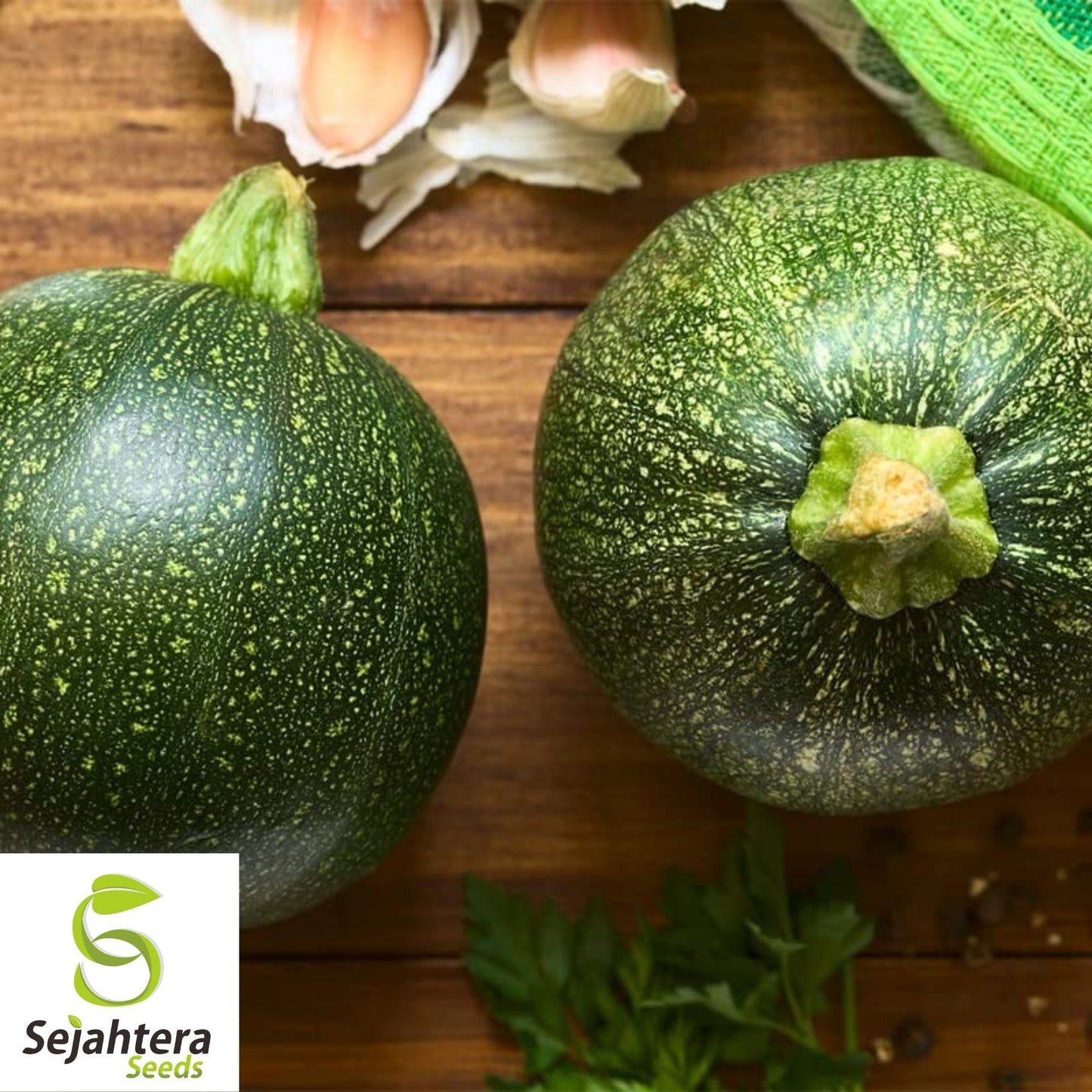 Squash Zucchini Round Seeds 25+ | Summer Vegetable NON-GMO USA