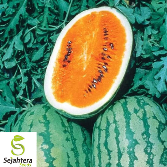 25+ Tendersweet Orange Watermelon Seeds - Heirloom, Non-GMO, Sweet & Juicy