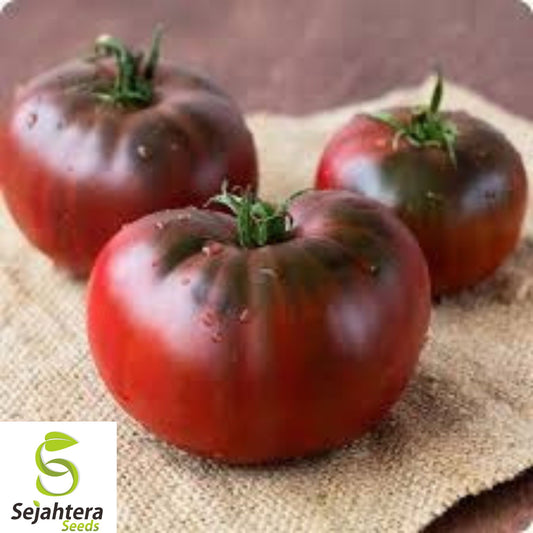 10+ Black Brandywine Tomato Seeds - Heirloom, Organic, Non-GMO, Rare & Juicy