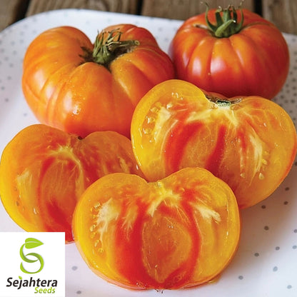 Pineapple Tomato Seeds - 120+ Heirloom, Organic, Non-GMO & Rare