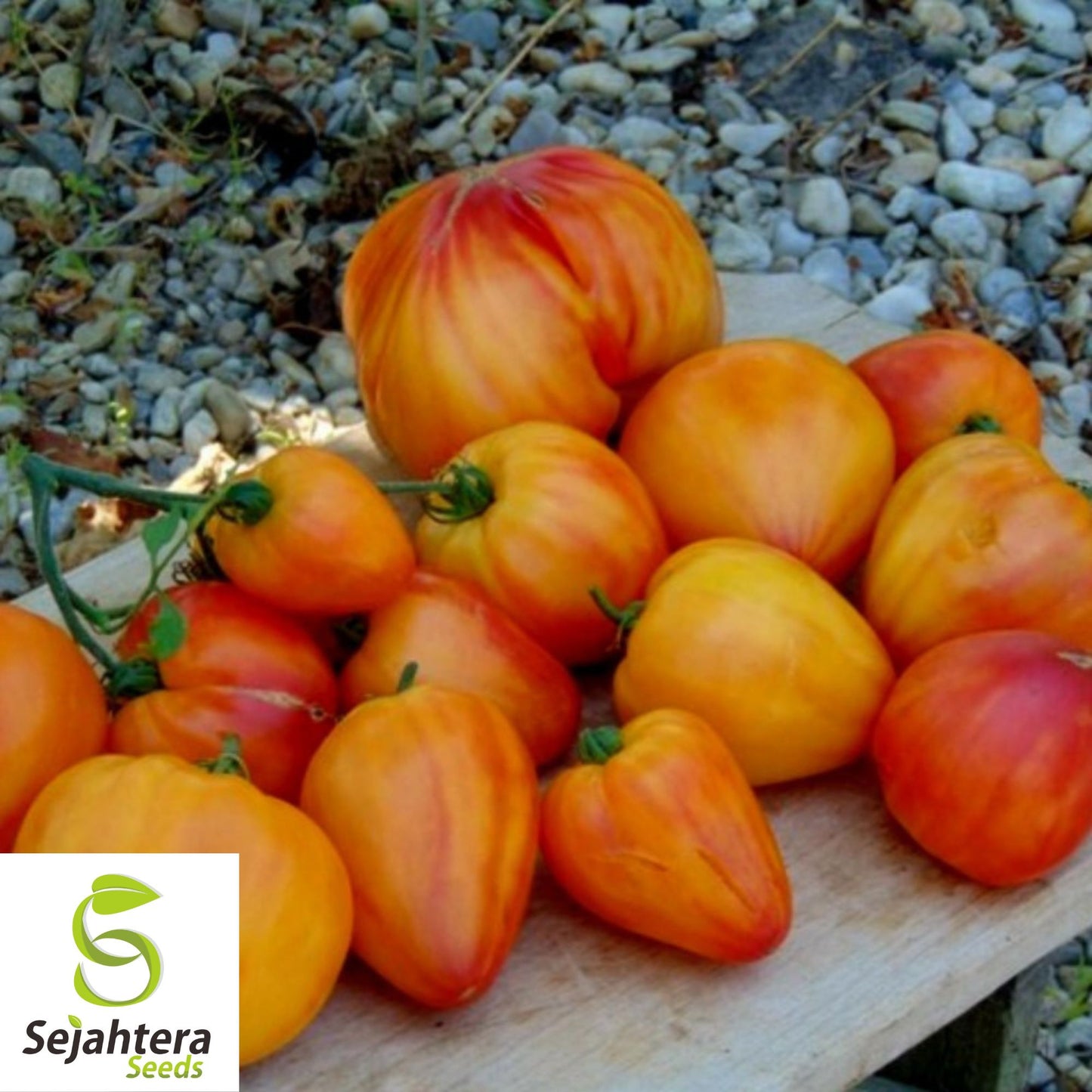 Orange Oxheart Tomato Seeds - 30+ Heirloom, Organic, Non-GMO & Rare