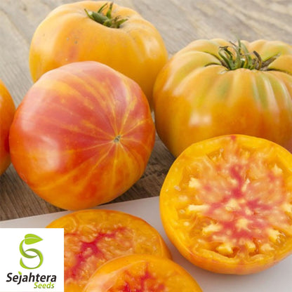 Pineapple Tomato Seeds - 120+ Heirloom, Organic, Non-GMO & Rare