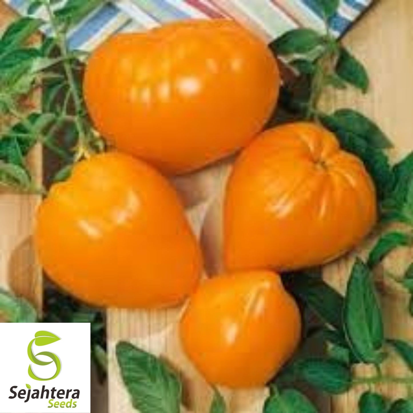 Orange Oxheart Tomato Seeds - 30+ Heirloom, Organic, Non-GMO & Rare